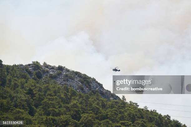 forest fire in marmaris - firefighting aircraft stock pictures, royalty-free photos & images