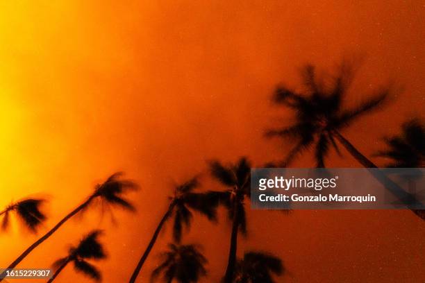 Wildfires burn over the town of Lahaina as seen in the neighboring Kaanapali Alii resort, on August 08, 2023 in Kaanapali, Maui, Hawaii