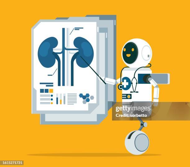 stockillustraties, clipart, cartoons en iconen met training lecture about anatomy - human kidneys - nierbekkenontsteking