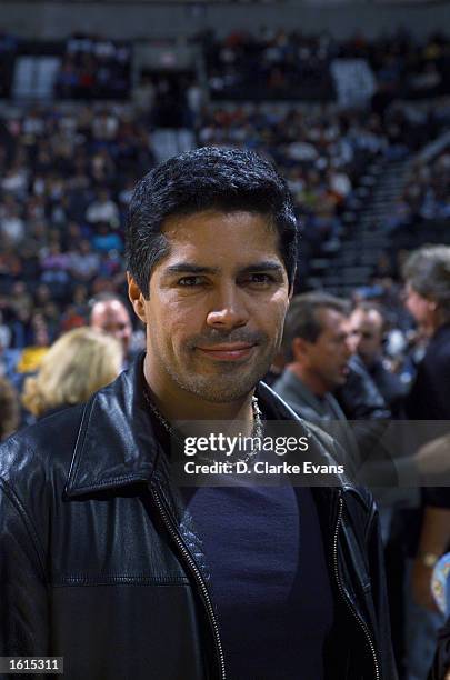 70 Morales Nypd Blue Stock Photos High Res Pictures and Images 70 Morales Nypd Blue Stock Photos High Res Pictures and Images