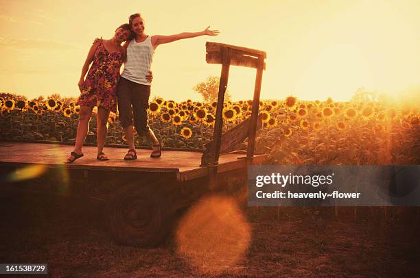 friends, flare, sunflowers - kansas sunflowers stock pictures, royalty-free photos & images