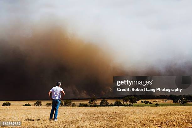 man watching a bush fire burn - australia fire - fotografias e filmes do acervo