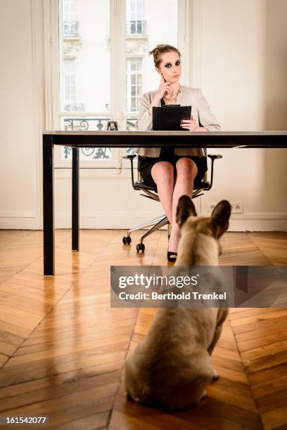 Animals Getting Interviewd 2,745 Micro Interview Stock Photos, High-Res Pictures, and Images ...