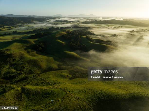 drone shot of remote hills, misty, blue sky - nieuw zeeland stockfoto's en -beelden