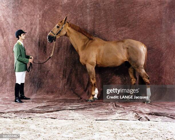 The Passion Of The Horse: Rodrigo Pessoa. Photo studio du champion olympique de saut d'obstacles Rodrigo PESSOA et son étalon Baloubet de Rouet .