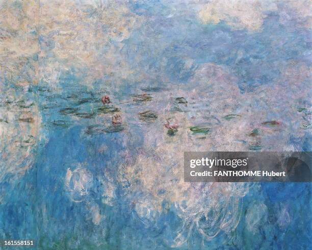 The Monet Nympheas At The Museum Of Orangerie. The new arrangement of 'Waterlilies' by Claude Monet at the Orangerie Museum has restored PARIS: in...