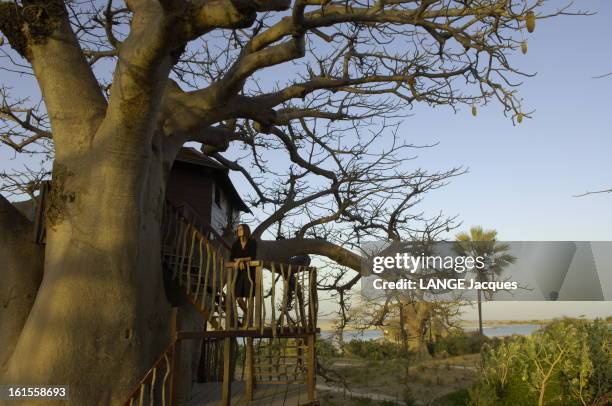 Ecotourism In Senegal. L'écologde 'Les collines de Niassam' De Jean-Pierre et Sylvie GABORIT dans la région du Siné Saloum ne compte que 13 chambres...