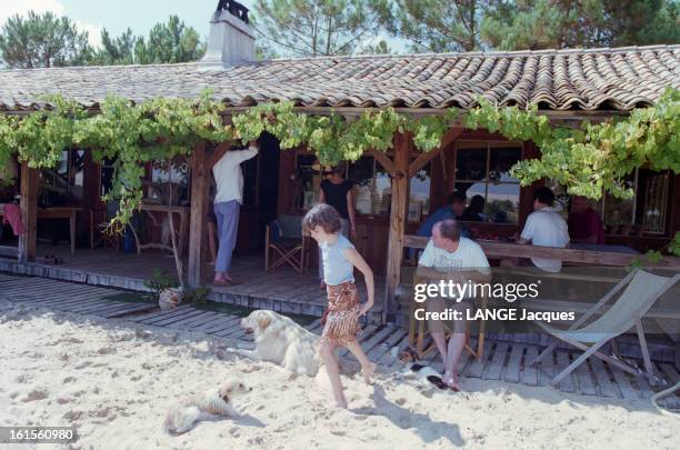 16 Benoit Bartherotte Stock Photos High Res Pictures And Images 16-benoit-bartherotte-stock-photos-high-res-pictures-and-images