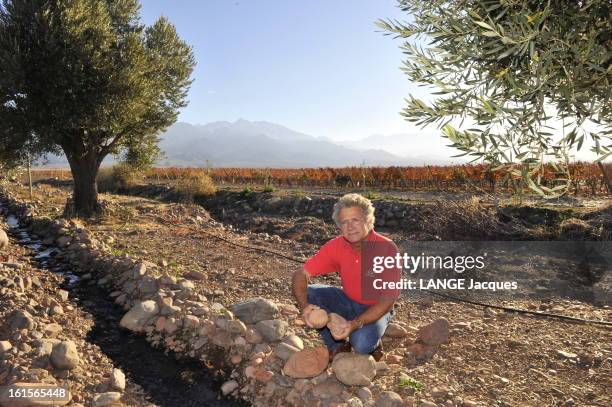 Laurent Dassault, Wine Producer In Argentina. Province de Mendoza, Argentine - 7 juin 2010 --- Laurent DASSAULT est le propriétaire, avec Benjamin de...