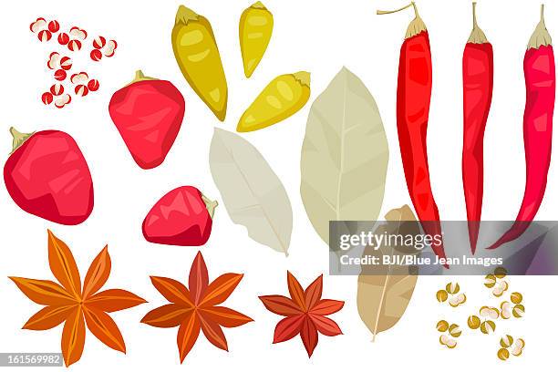 various spices - bay leaf white background stock illustrations