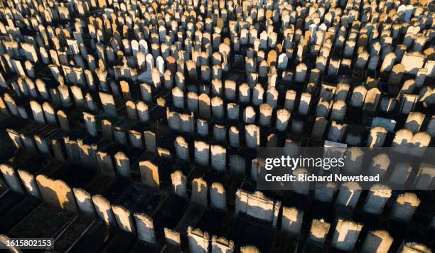 cemetery sunrise - loss of habitat stock pictures, royalty-free photos & images