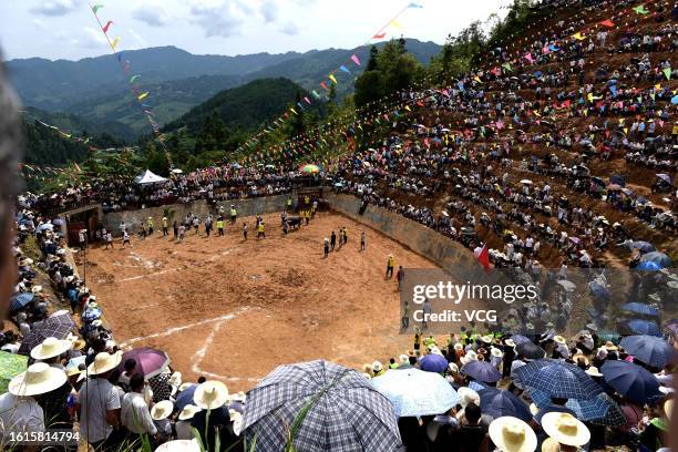 Villagers watch bull fighting competition during the annual "Xinmi" festival on August 13, 2023 in Congjiang County, Qiandongnan Miao and Dong...