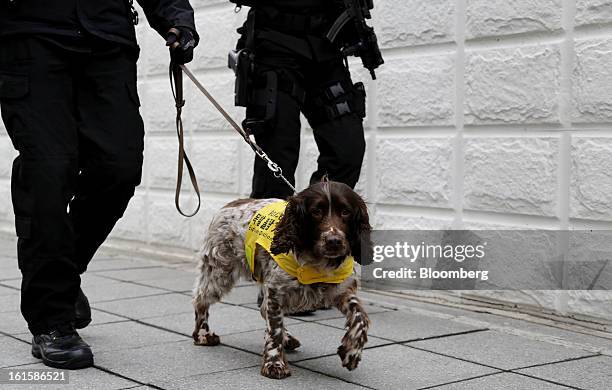 Police officers patrol with a dog around the U.S. Embassy in Seoul, South Korea, on Tuesday, Feb. 12, 2013. North Korea conducted its third...