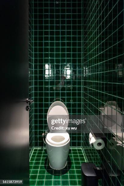 bathroom ceramic toilet bowl, green tiles - toilet bowl stock pictures, royalty-free photos & images