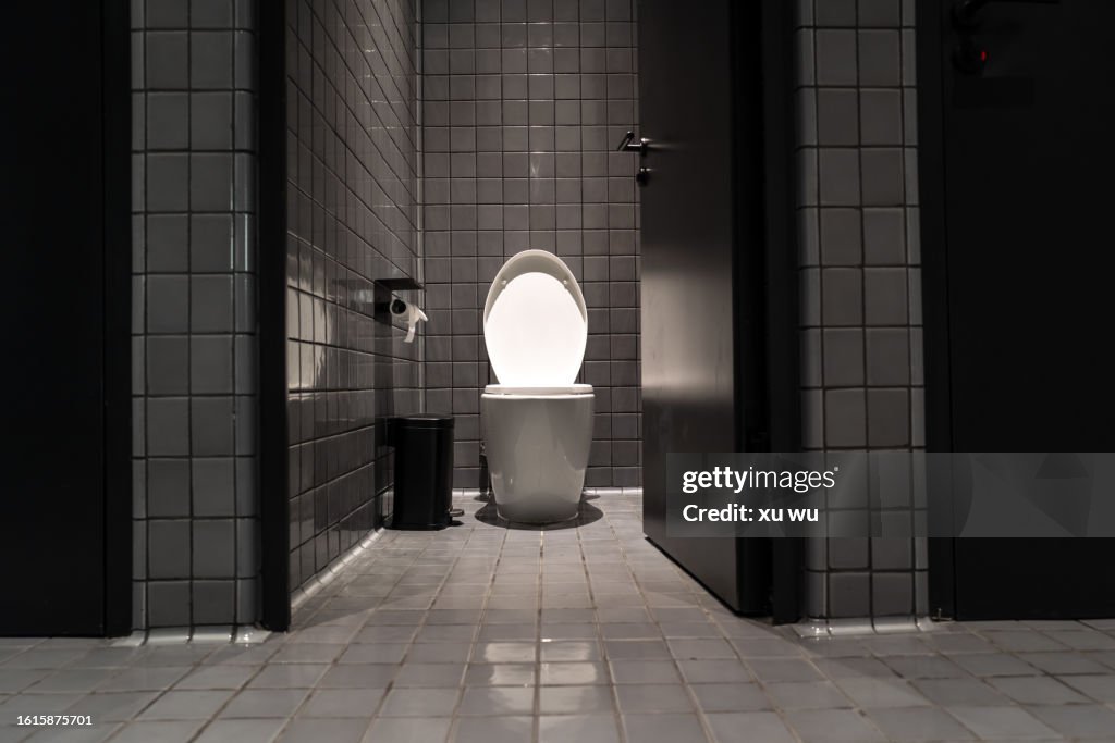 Entrance bathroom ceramic toilet
