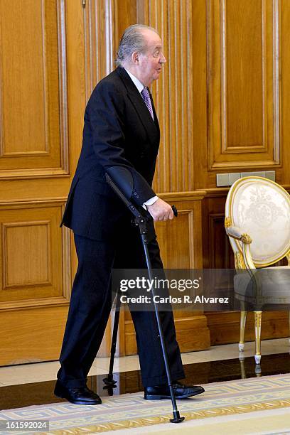 King Juan Carlos of Spain receives former Chilean President Ricardo Lagos at Zarzuela Palace on February 12, 2013 in Madrid, Spain.