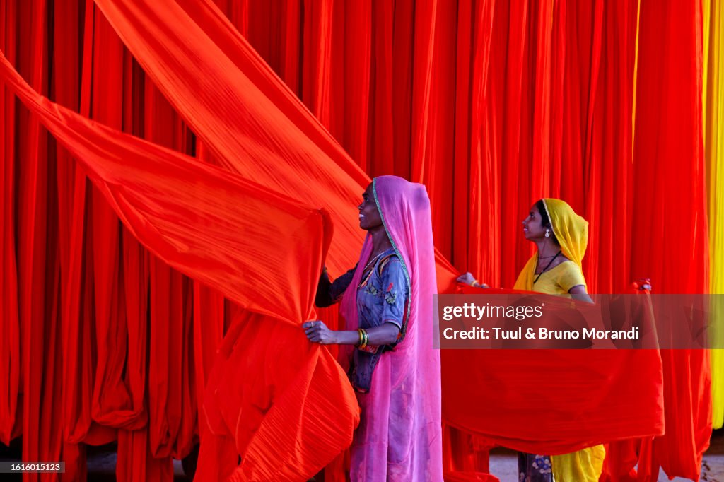 India, Rajasthan, Sari Factory