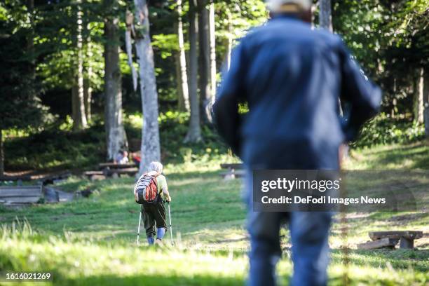 Woman hikes through the forest on mountain Medvednica on August 13 in Zagreb, Croatia.