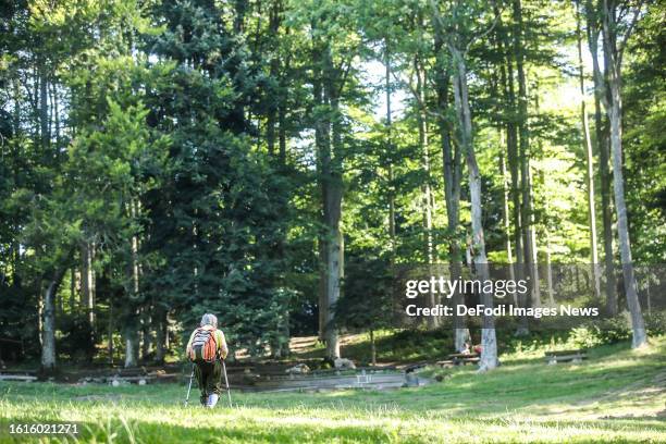 Woman hikes through the forest on mountain Medvednica on August 13 in Zagreb, Croatia.