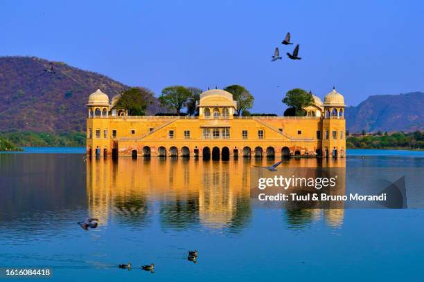 india, rajasthan, jaipur, the jal mahal palace - udaipur palace stock-fotos und bilder