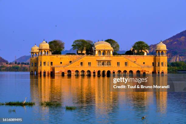 india, rajasthan, jaipur, the jal mahal palace - jal mahal stock pictures, royalty-free photos & images