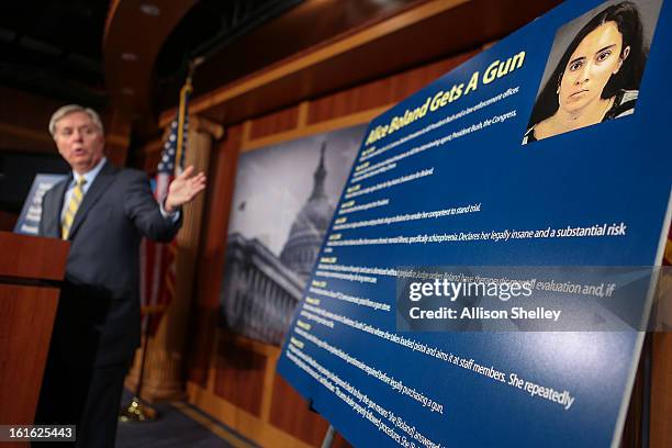 Sen. Linsey Graham speaks to the media about gun control regulation at a press conference on Capitol Hill in Washington D.C., February 13, 2013....