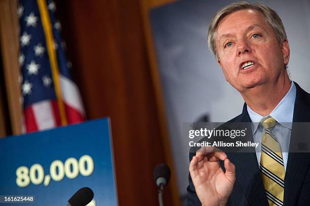 Sen. Linsey Graham speaks to the media about gun control regulation at a press conference on Capitol Hill in Washington D.C., February 13, 2013....