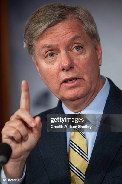 Sen. Linsey Graham speaks to the media about gun control regulation at a press conference on Capitol Hill in Washington D.C., February 13, 2013....