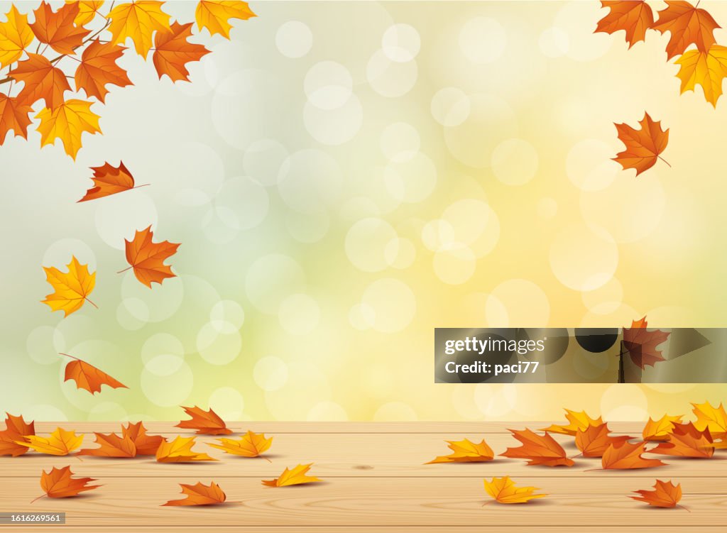 Autumn leaf background