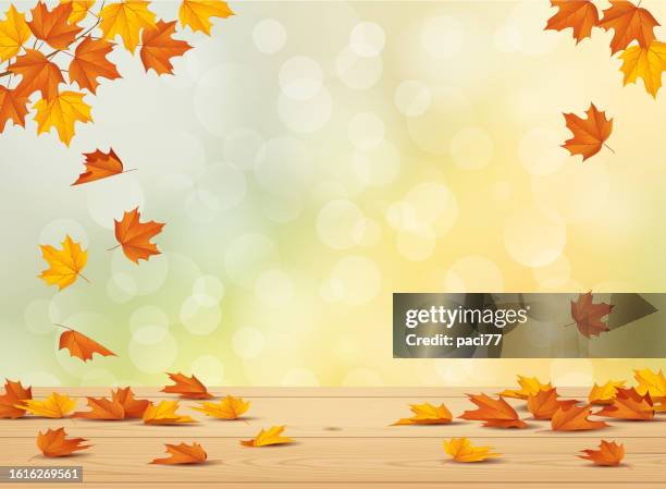 autumn leaf background - horizontal falls stock illustrations