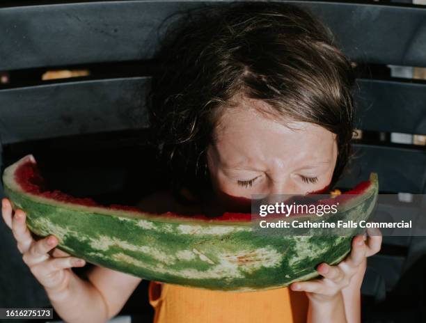 a little girl takes a bite of a huge watermelon slice - biting stock pictures, royalty-free photos & images