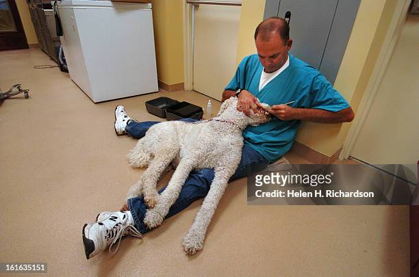 Scott Blanchard works on the teeth of 4 year old Rusty <cq> who is a Standard Poodle <cq>. Scott Blanchard is a local dental hygienist who has...