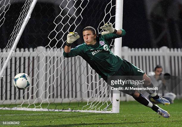 Goalie Joe Bendik of Toronto FC dives for a save against Orlando City February 13, 2013 in the second round of the Disney Pro Soccer Classic in...