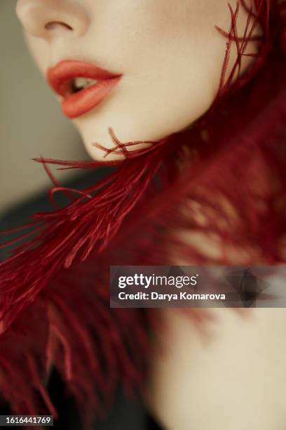 red lipstick on lips and red feather, concept of tenderness and female issues with copy space. - human mouth stockfoto's en -beelden