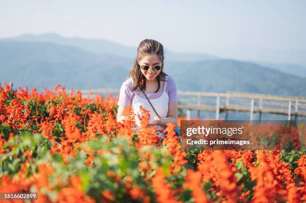 enjoying beautiful nature road trip - chiang rai province stock pictures, royalty-free photos & images