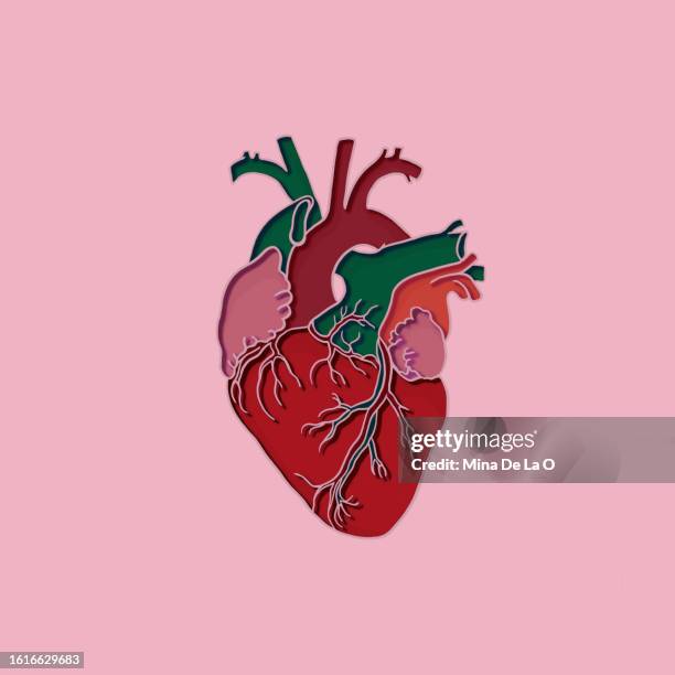papercut heart pink - menselijke slagader stockfoto's en -beelden