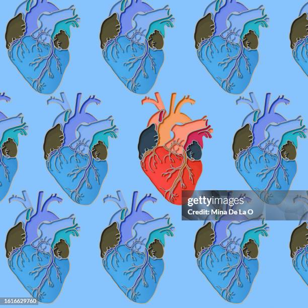 paper hearts blue - menselijke slagader stockfoto's en -beelden