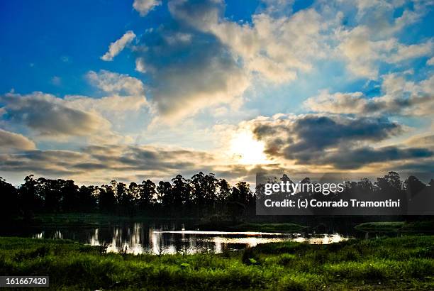 pôr-do-sol com árvores e lago - pôr do sol fotografías e imágenes de stock