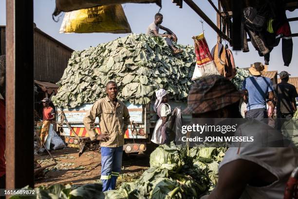 Vendors wait to unload cabbage from a truck at the Musika market in Harare on August 22, 2023. Zimbabweans will head to the polls on August 23, 2023...