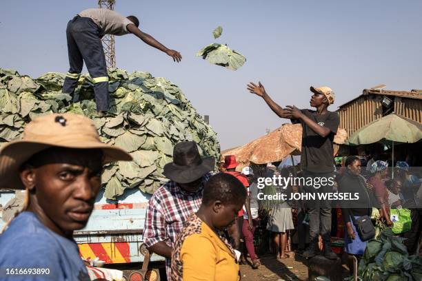 Vendors off load cabbages from a truck at the Musika market in Harare on August 22, 2023. Zimbabweans will head to the polls on August 23, 2023 to...