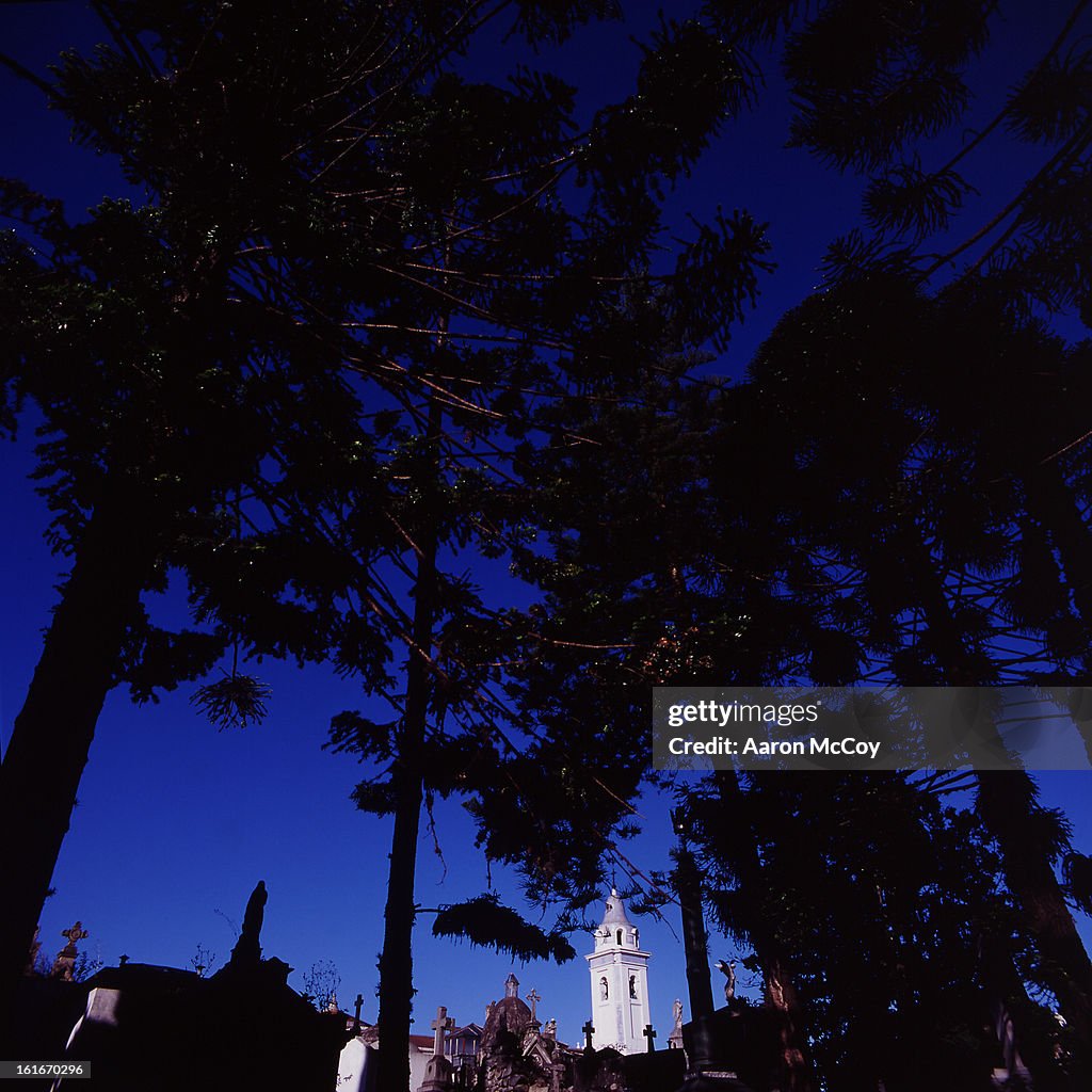 Trees and crosses