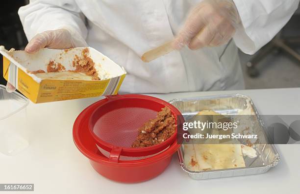 Laboratory technician at the Rhein-Ruhr-Wupper Chemical and Veterinarian Analysis Agency extracts a sample from a package of ready-made lasagne to...