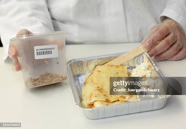 Laboratory technician at the Rhein-Ruhr-Wupper Chemical and Veterinarian Analysis Agency extracts a sample from a package of ready-made lasagne to...