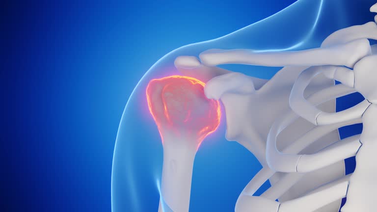 394 Shoulder Joint Anatomy Stock Videos, Footage, & 4K Video Clips ...