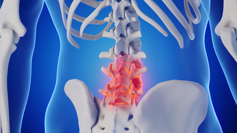 Lumbar Spine Anatomy Videos and HD Footage - Getty Images