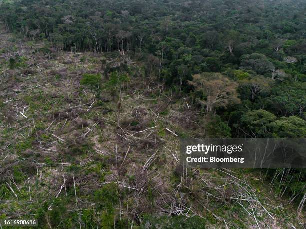 Section of deforestation near La Paz, Guaviare department, Colombia, on Sunday, July 30, 2023. Ivan Mordisco is a Colombian warlord with a cocaine...