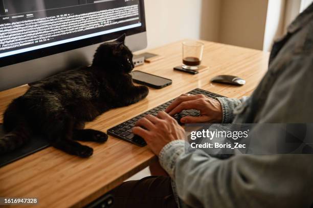Cat Computer Lab 1,578 Cat Playing Computer Stock Photos, High-Res Pictures, and Images ...