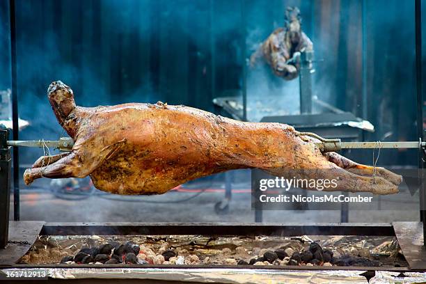 whole lamb barbecue spitfire roast mechoui - lamb bildbanksfoton och bilder