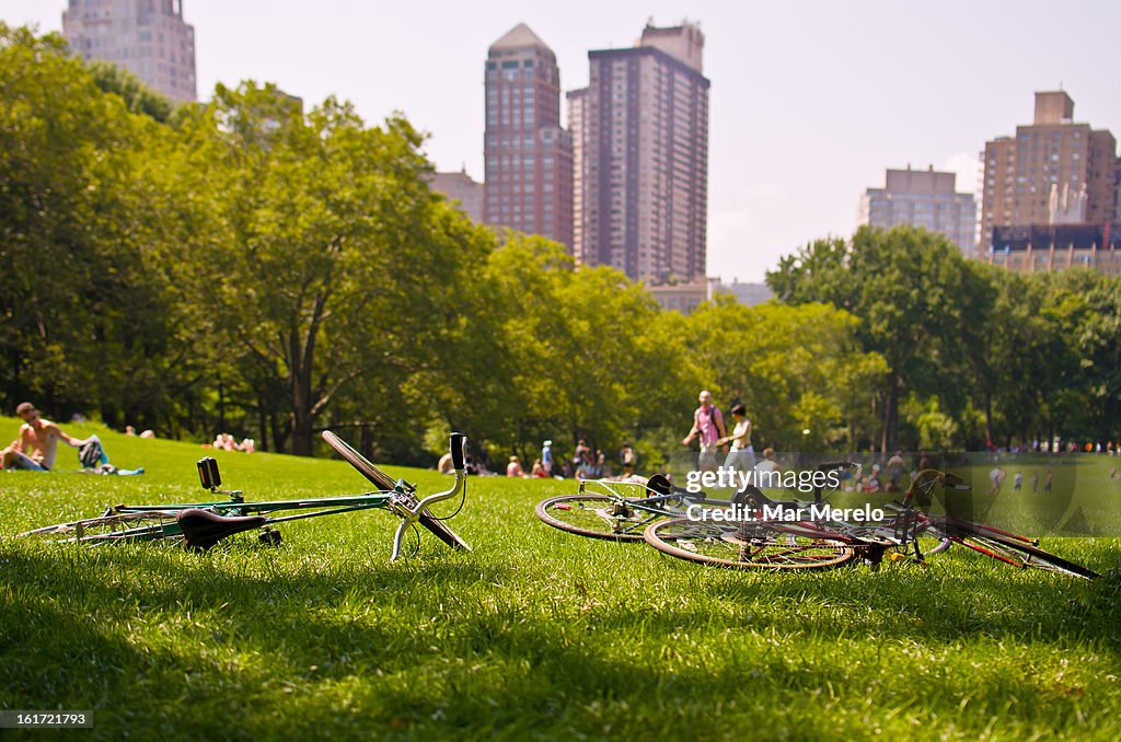 Bikes on the grass