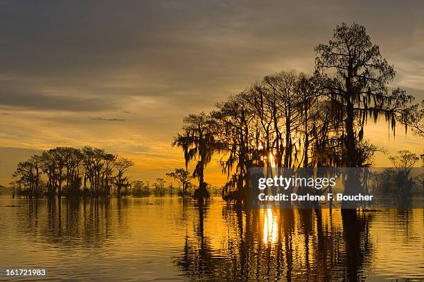 golden sunrise - lafayette louisiana stock pictures, royalty-free photos & images